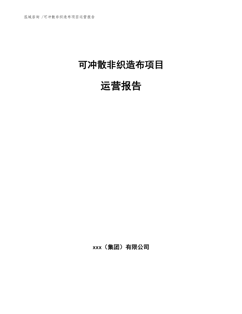 可冲散非织造布项目运营报告_第1页