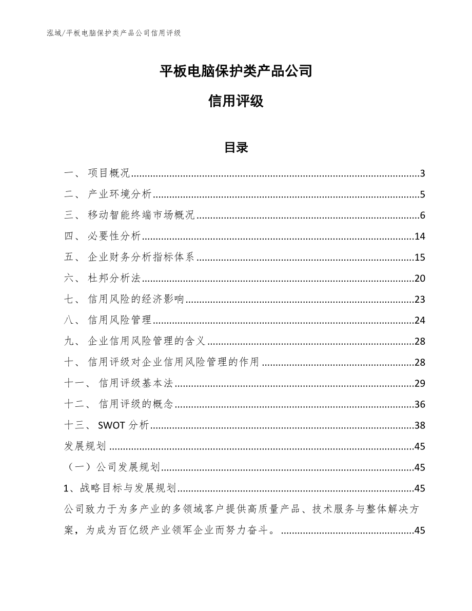 平板电脑保护类产品公司信用评级【范文】_第1页