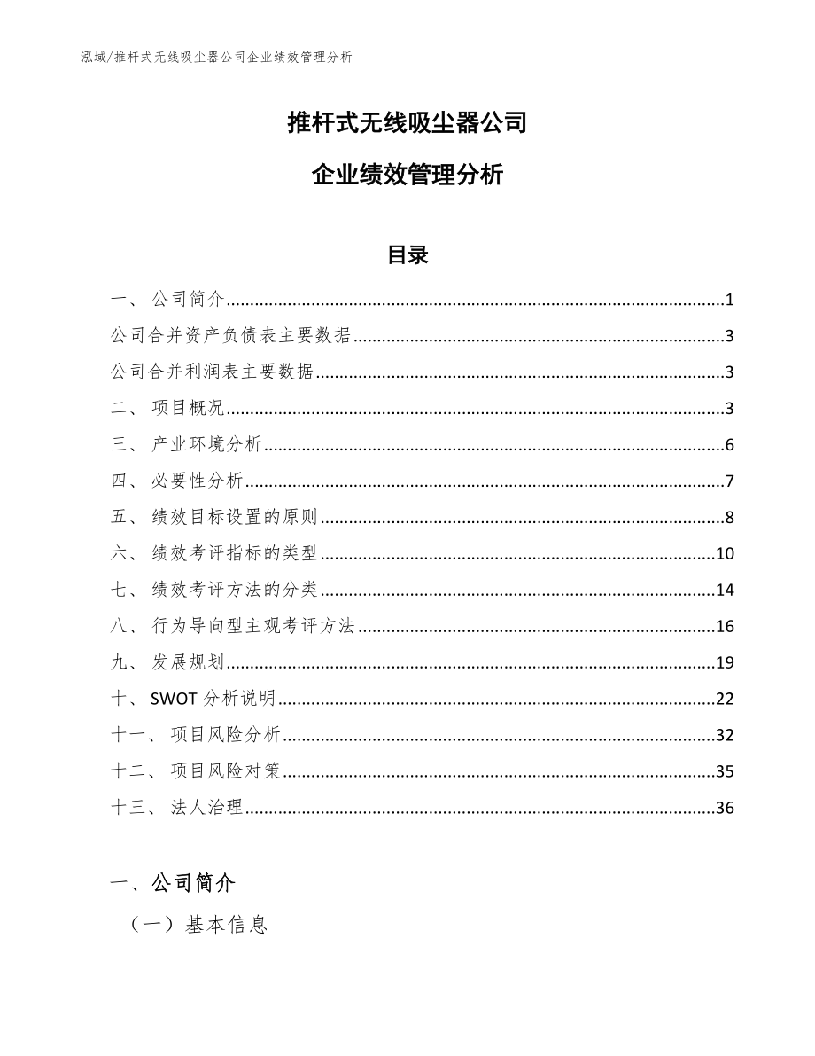 推杆式无线吸尘器公司企业绩效管理分析【范文】_第1页