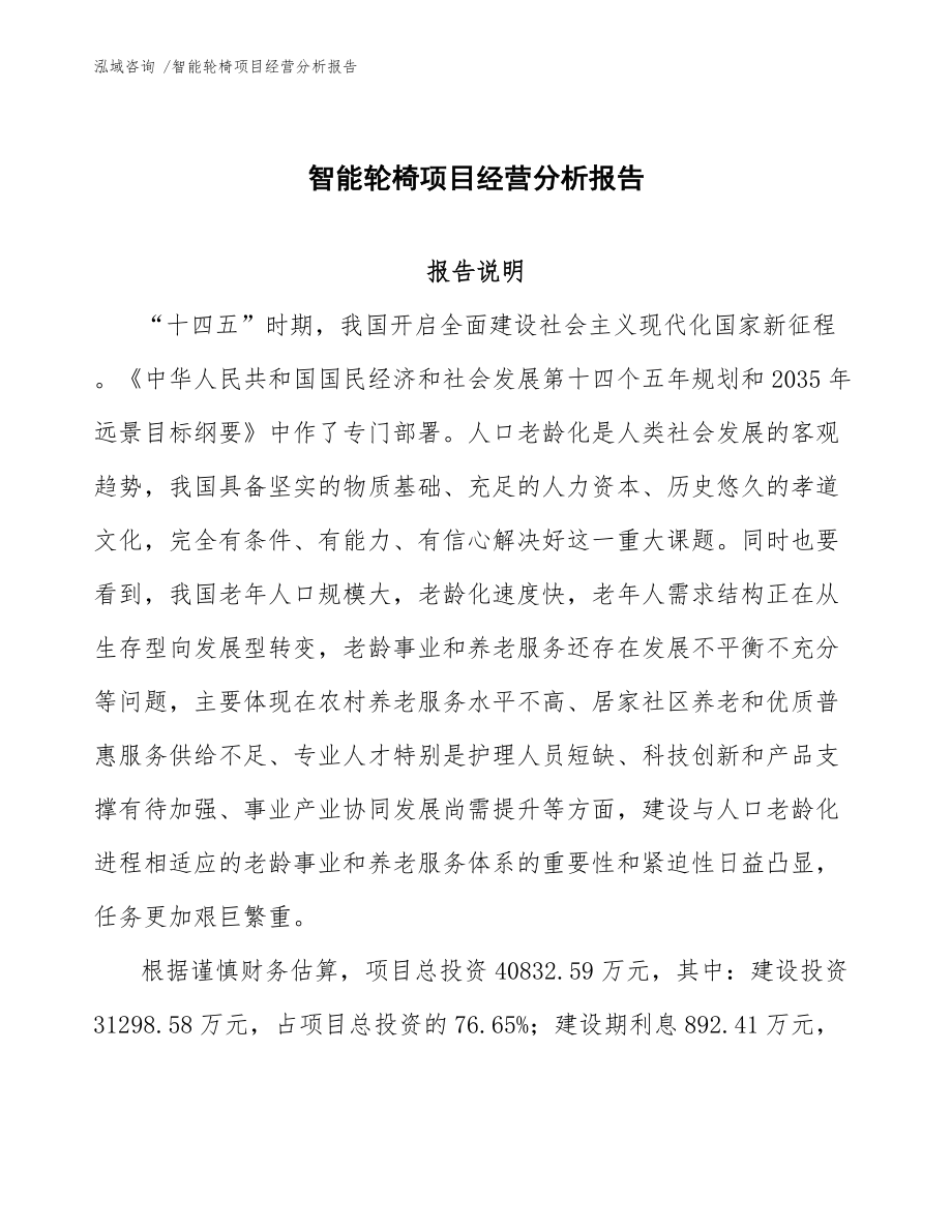 智能轮椅项目经营分析报告-（模板范本）_第1页