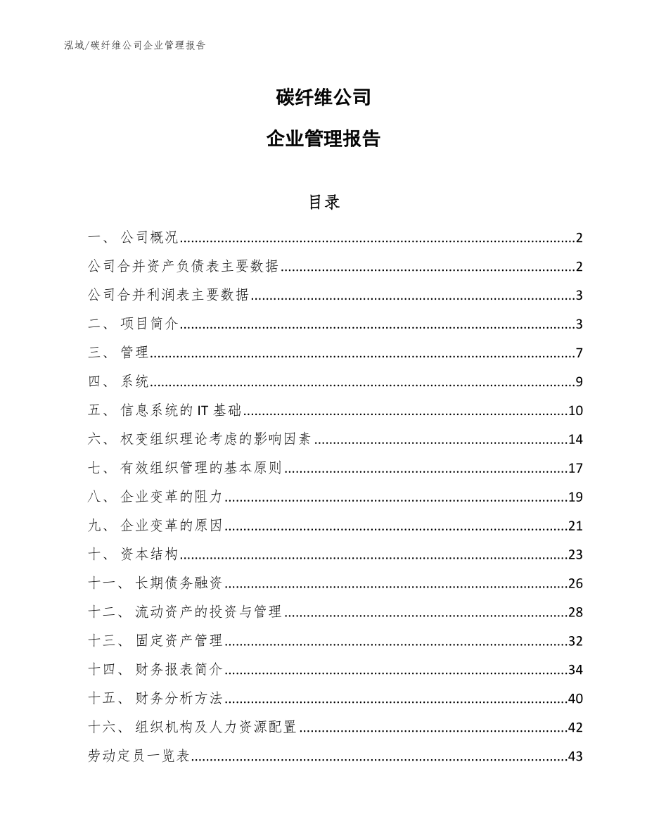 碳纤维公司企业管理报告（参考）_第1页