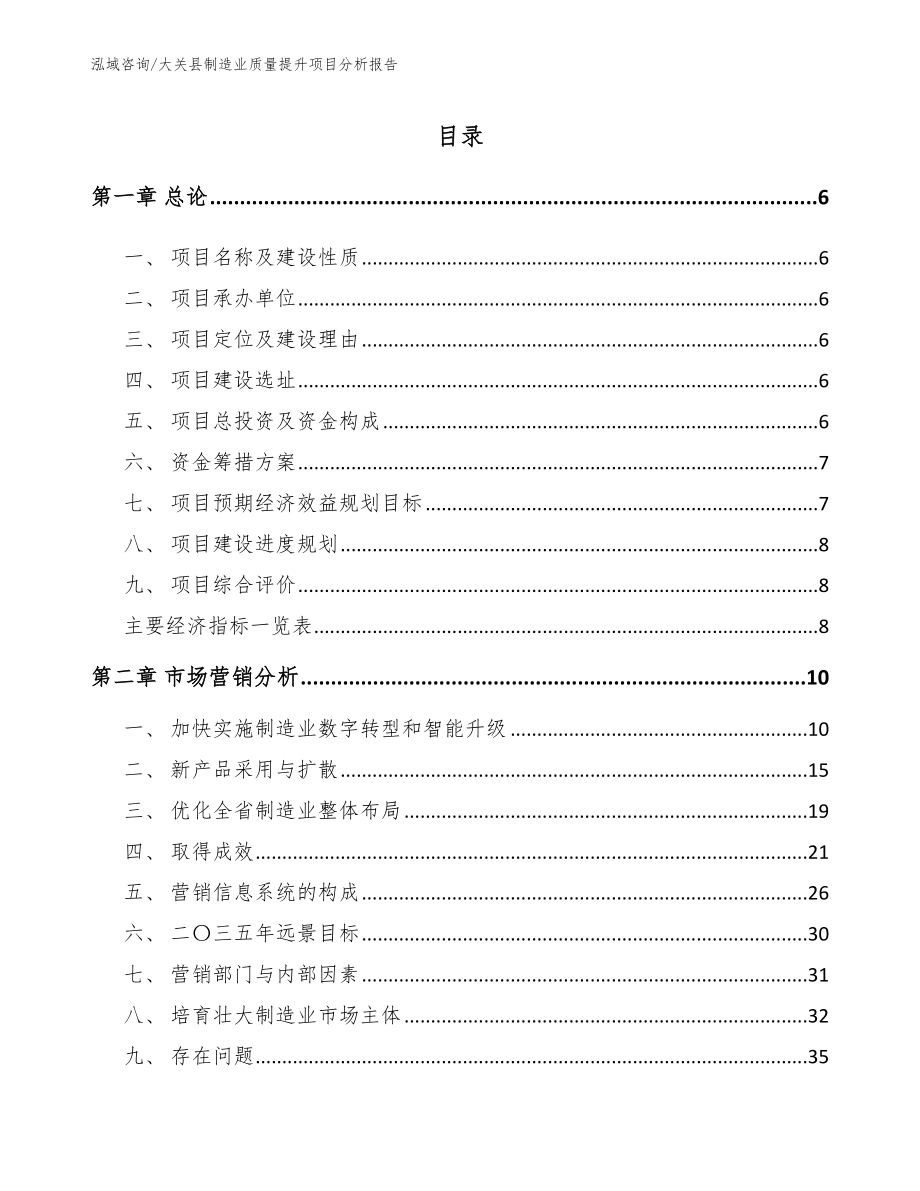 大关县制造业质量提升项目分析报告（模板范本）_第1页
