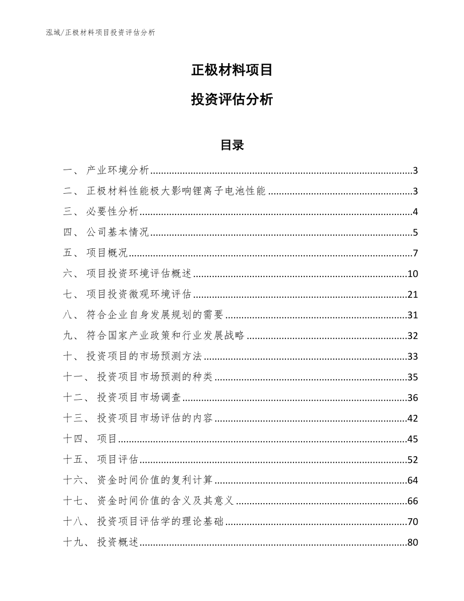 正极材料项目投资评估分析_第1页