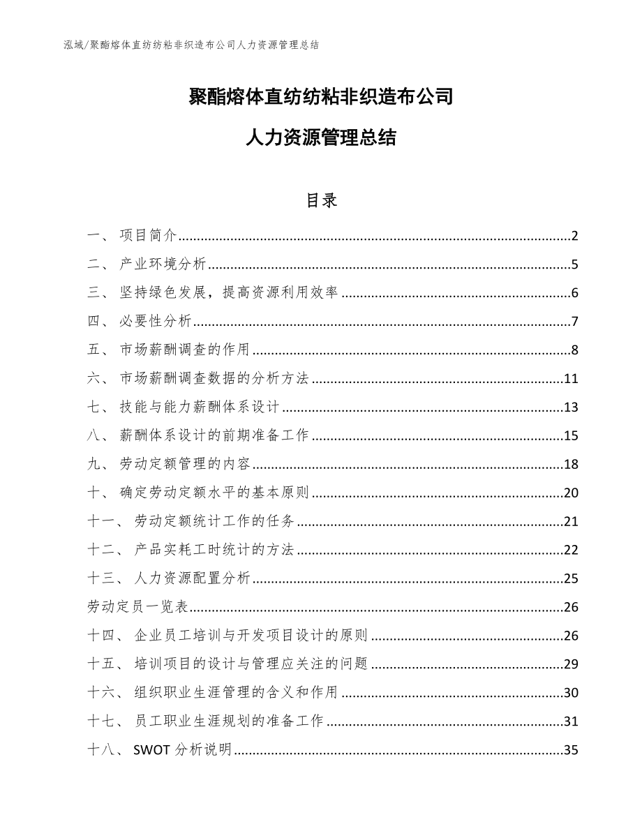 聚酯熔体直纺纺粘非织造布公司人力资源管理总结_第1页