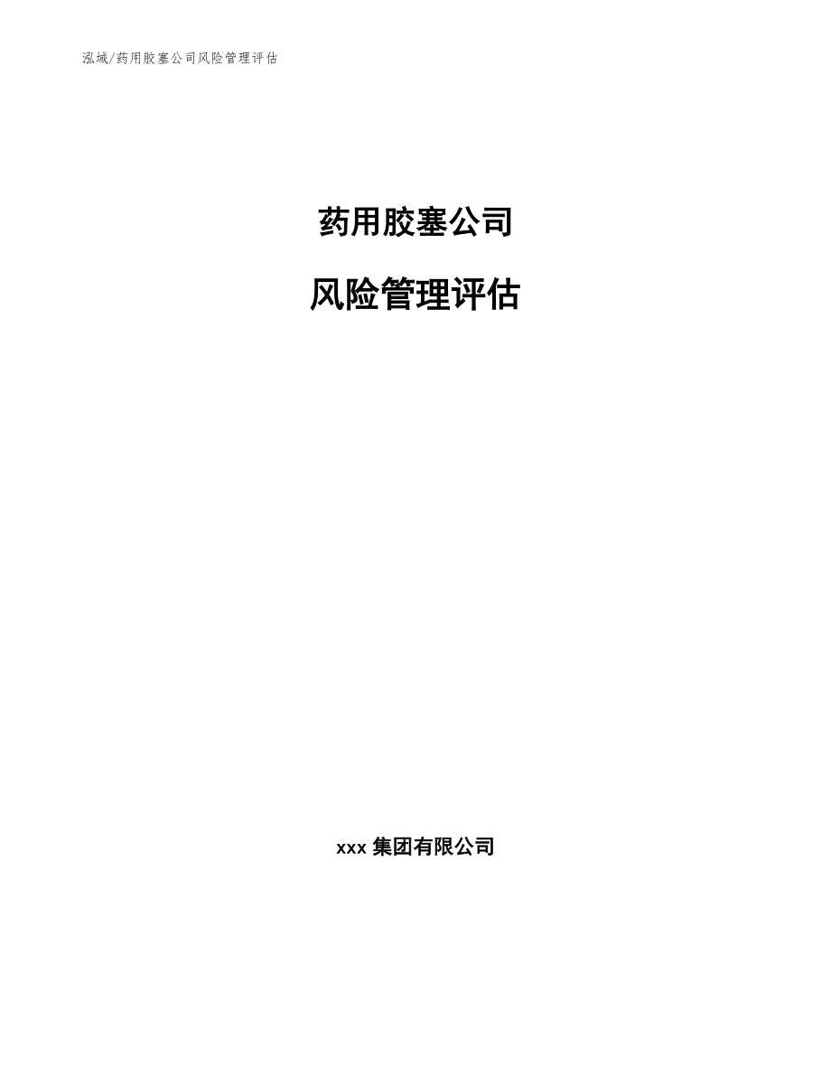 药用胶塞公司风险管理评估_参考_第1页