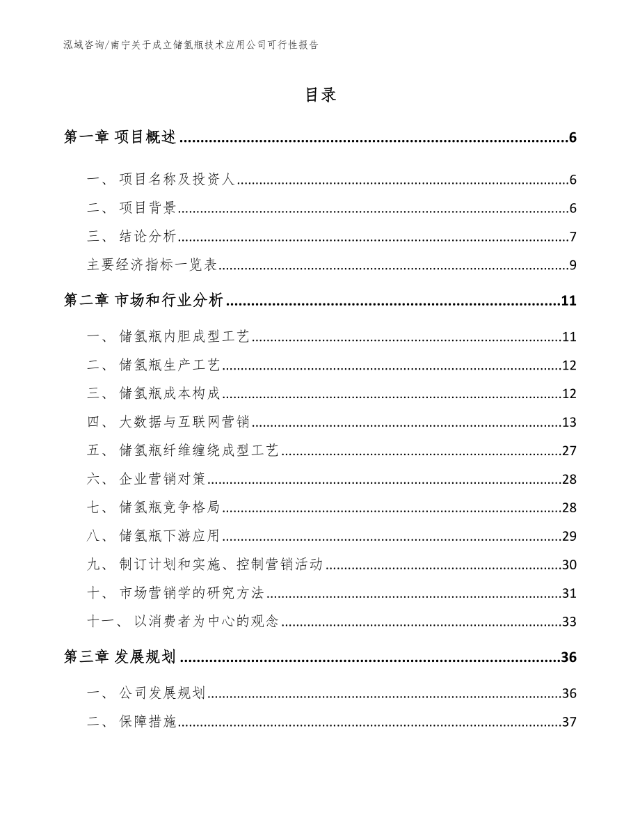 南宁关于成立储氢瓶技术应用公司可行性报告（模板）_第1页