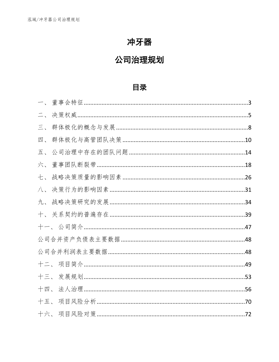冲牙器公司治理规划（范文）_第1页