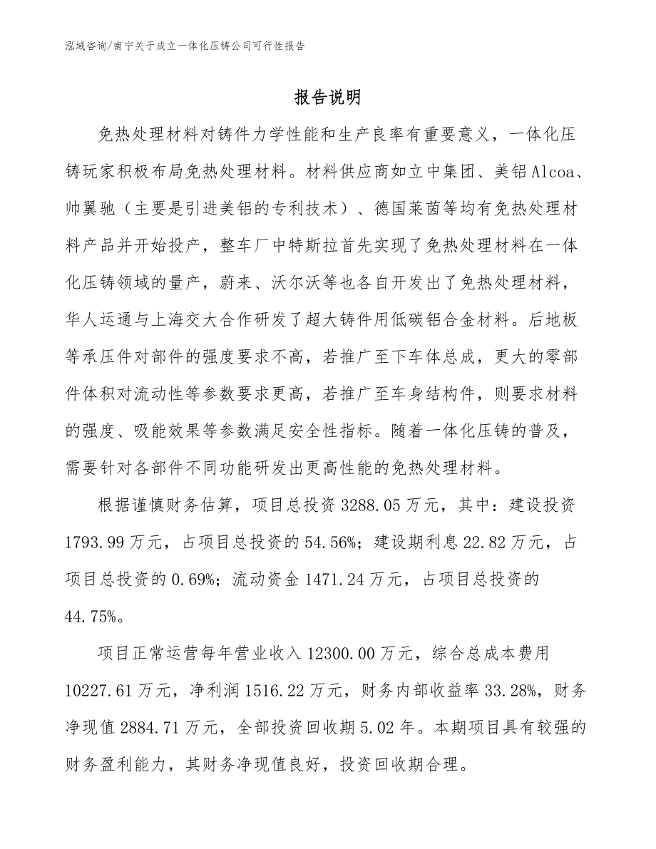 南宁关于成立一体化压铸公司可行性报告（模板）_第1页