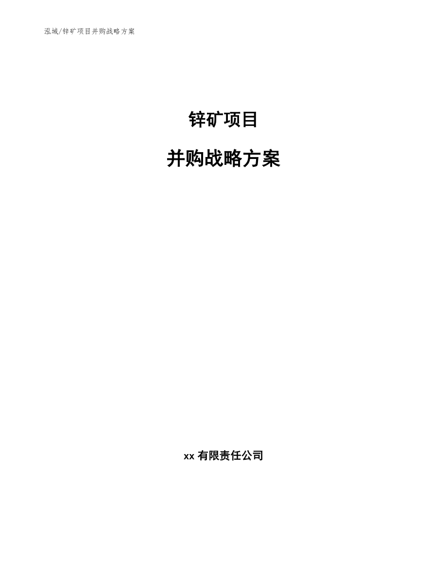 锌矿项目并购战略方案【参考】_第1页