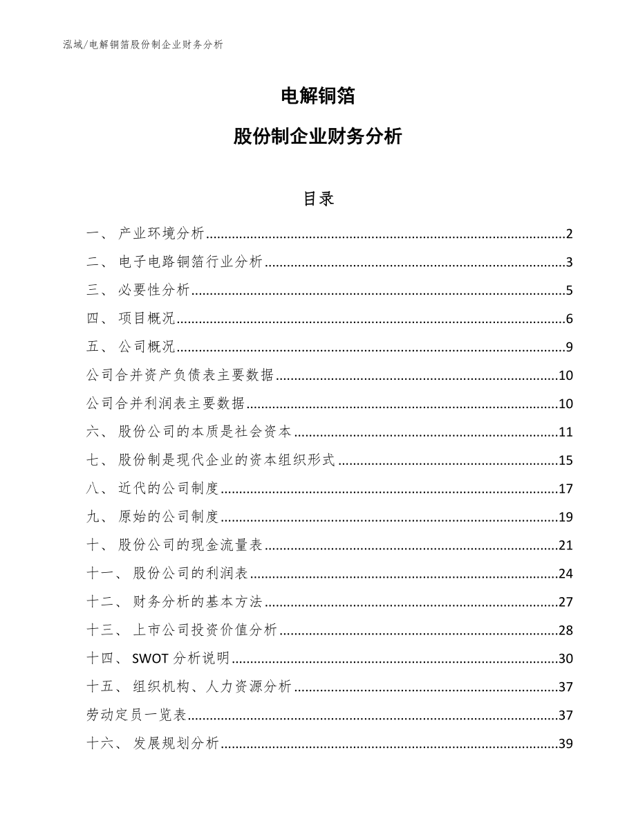 电解铜箔股份制企业财务分析【范文】_第1页