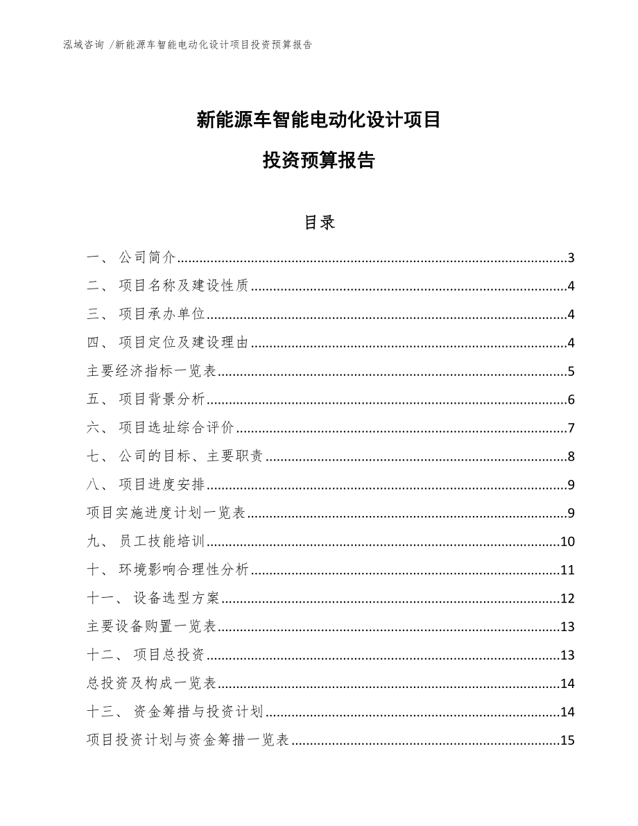 新能源车智能电动化设计项目投资预算报告参考范文_第1页