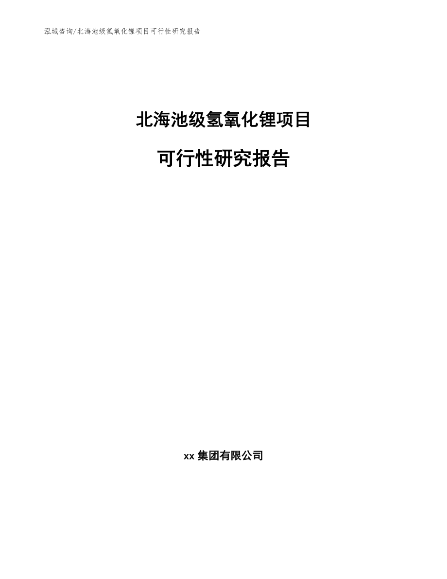 北海池级氢氧化锂项目可行性研究报告模板范文_第1页