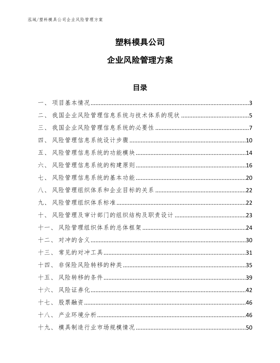 塑料模具公司企业风险管理方案_范文_第1页