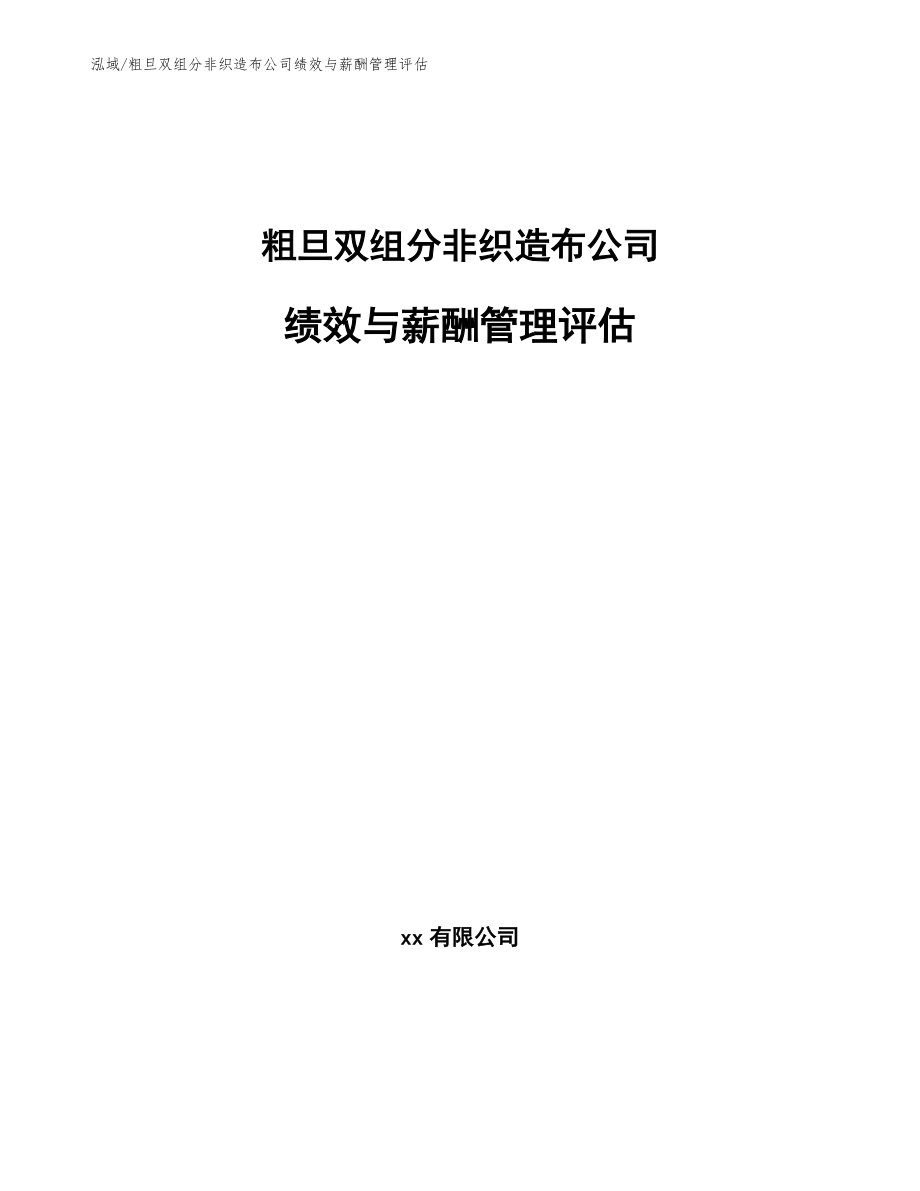 粗旦双组分非织造布公司绩效与薪酬管理评估_第1页