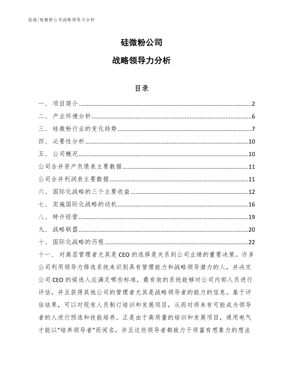 硅微粉公司战略领导力分析（范文）_第1页