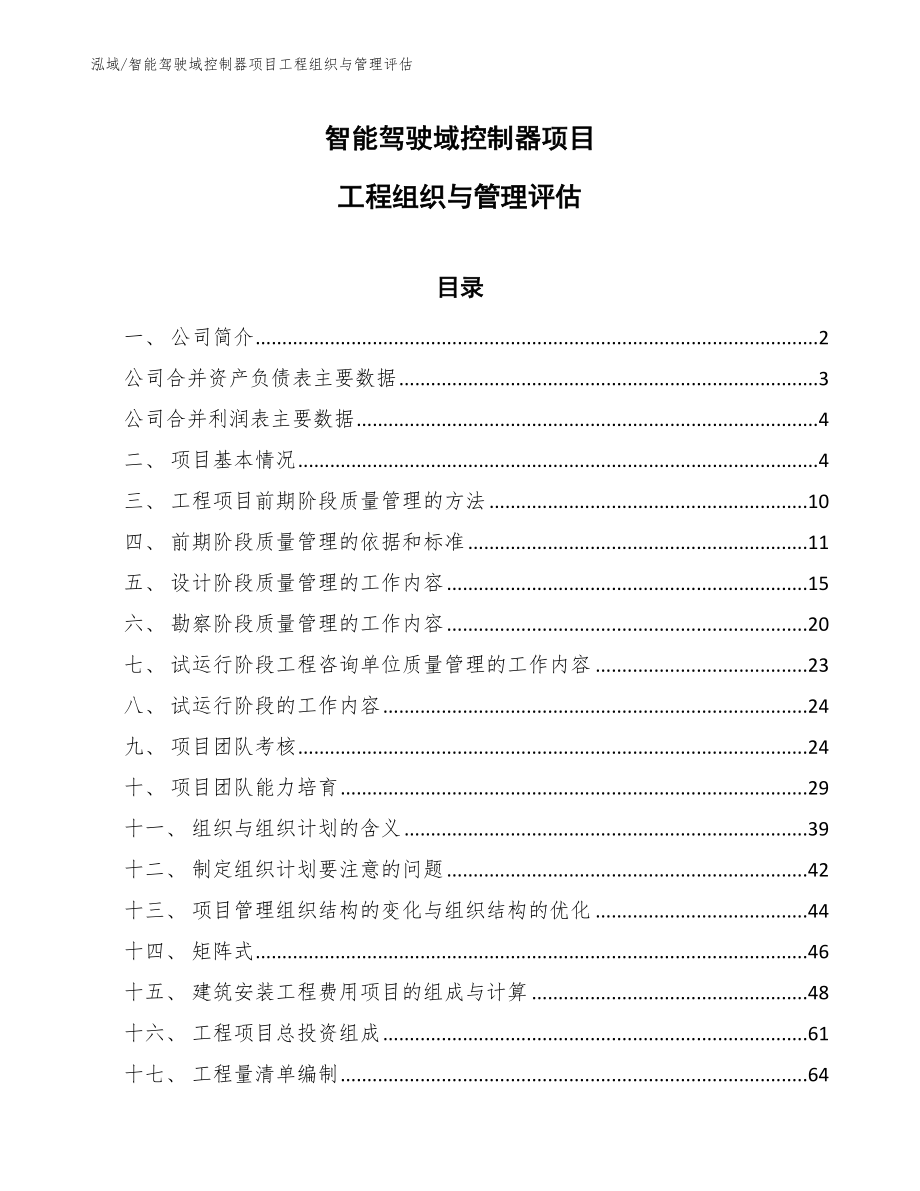 智能驾驶域控制器项目工程组织与管理评估_第1页