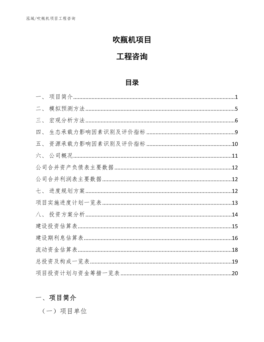 吹瓶机项目工程咨询【参考】_第1页