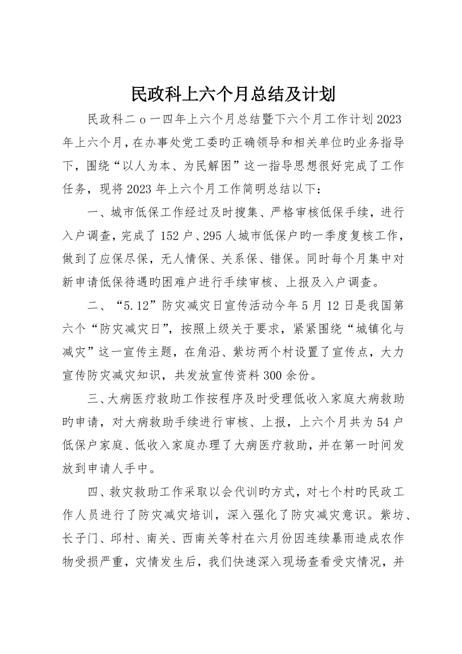 民政科上半年总结及计划_第1页