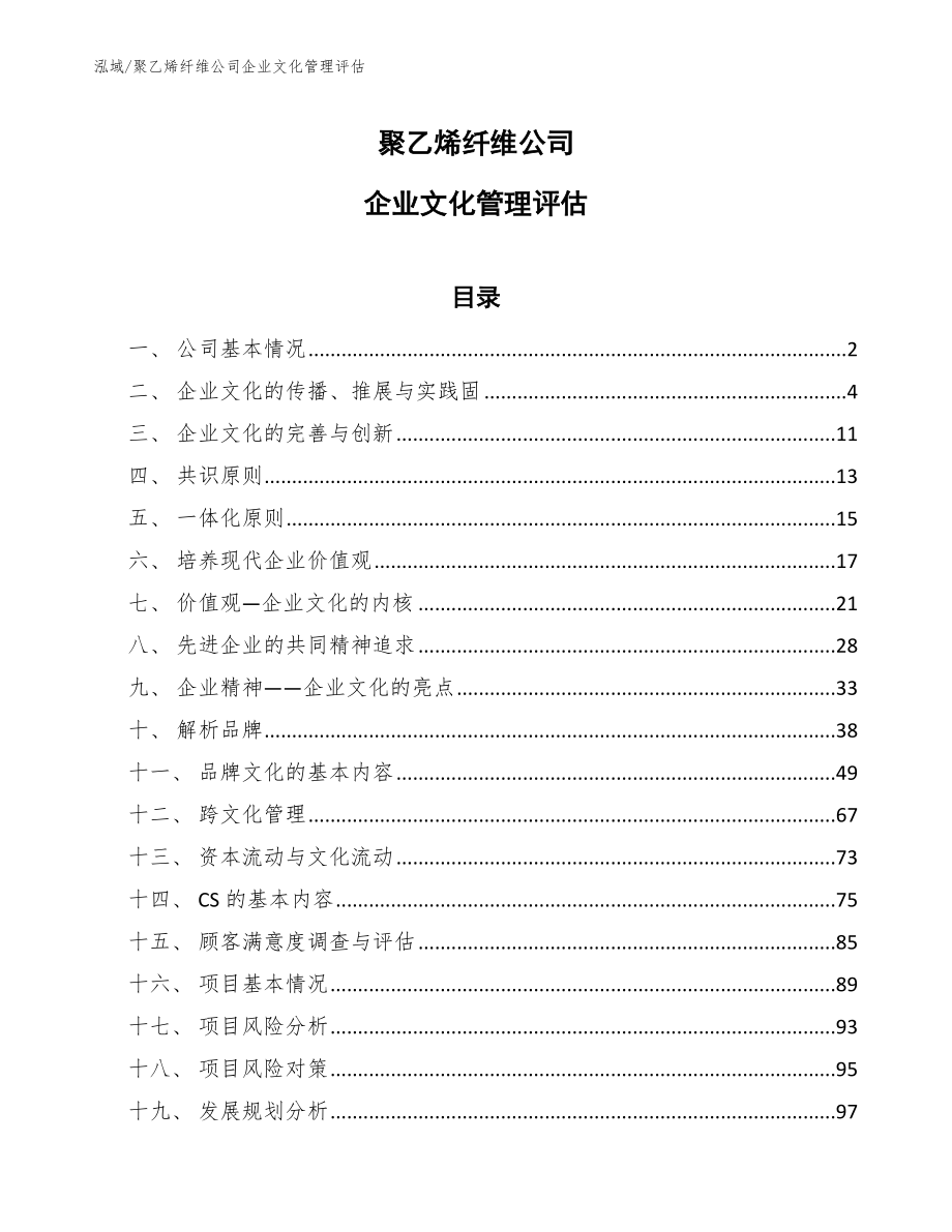 聚乙烯纤维公司企业文化管理评估_第1页