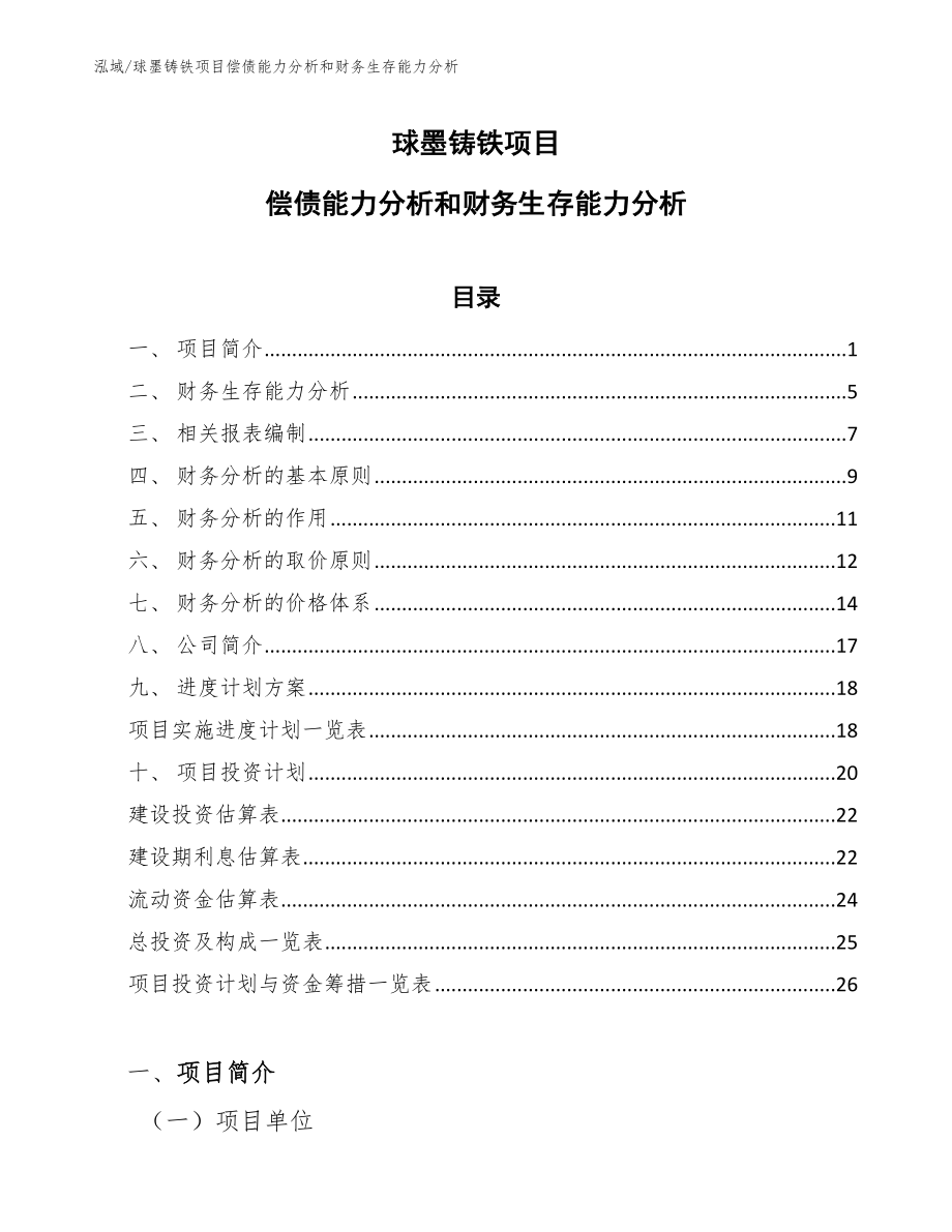 球墨铸铁项目偿债能力分析和财务生存能力分析（参考）_第1页