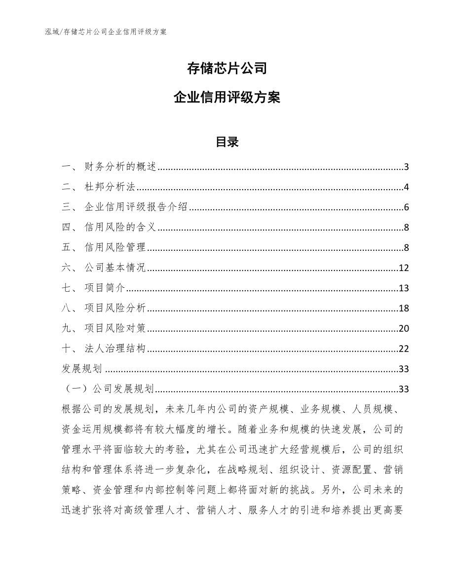存储芯片公司企业信用评级方案_范文_第1页