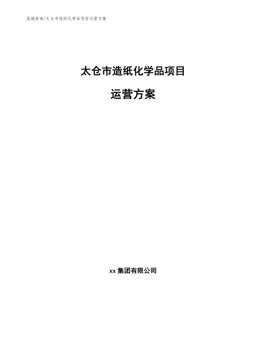 太仓市造纸化学品项目运营方案_第1页