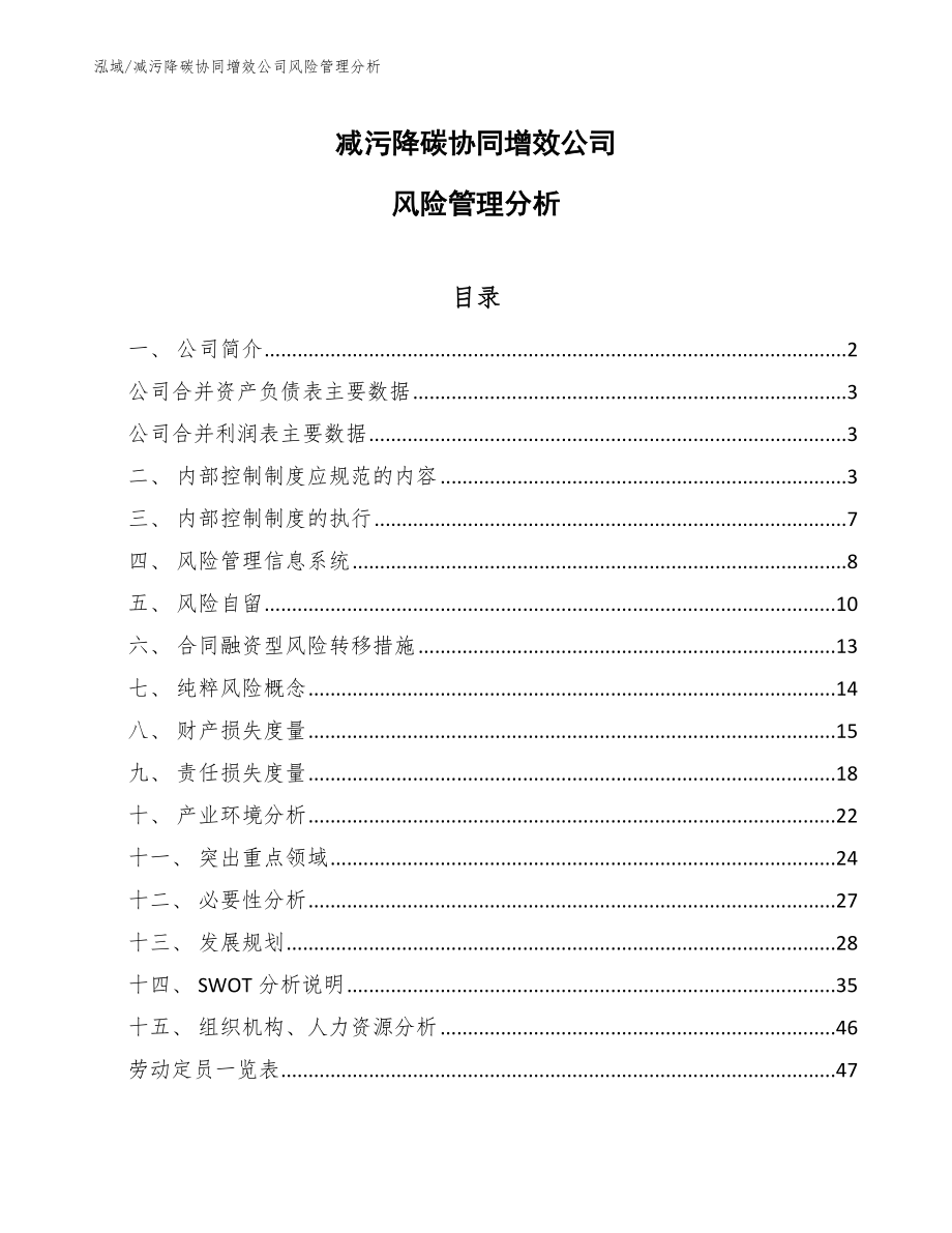 减污降碳协同增效公司风险管理分析【范文】_第1页