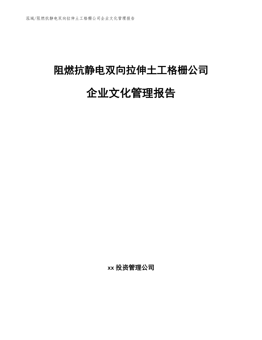 阻燃抗静电双向拉伸土工格栅公司企业文化管理报告_第1页