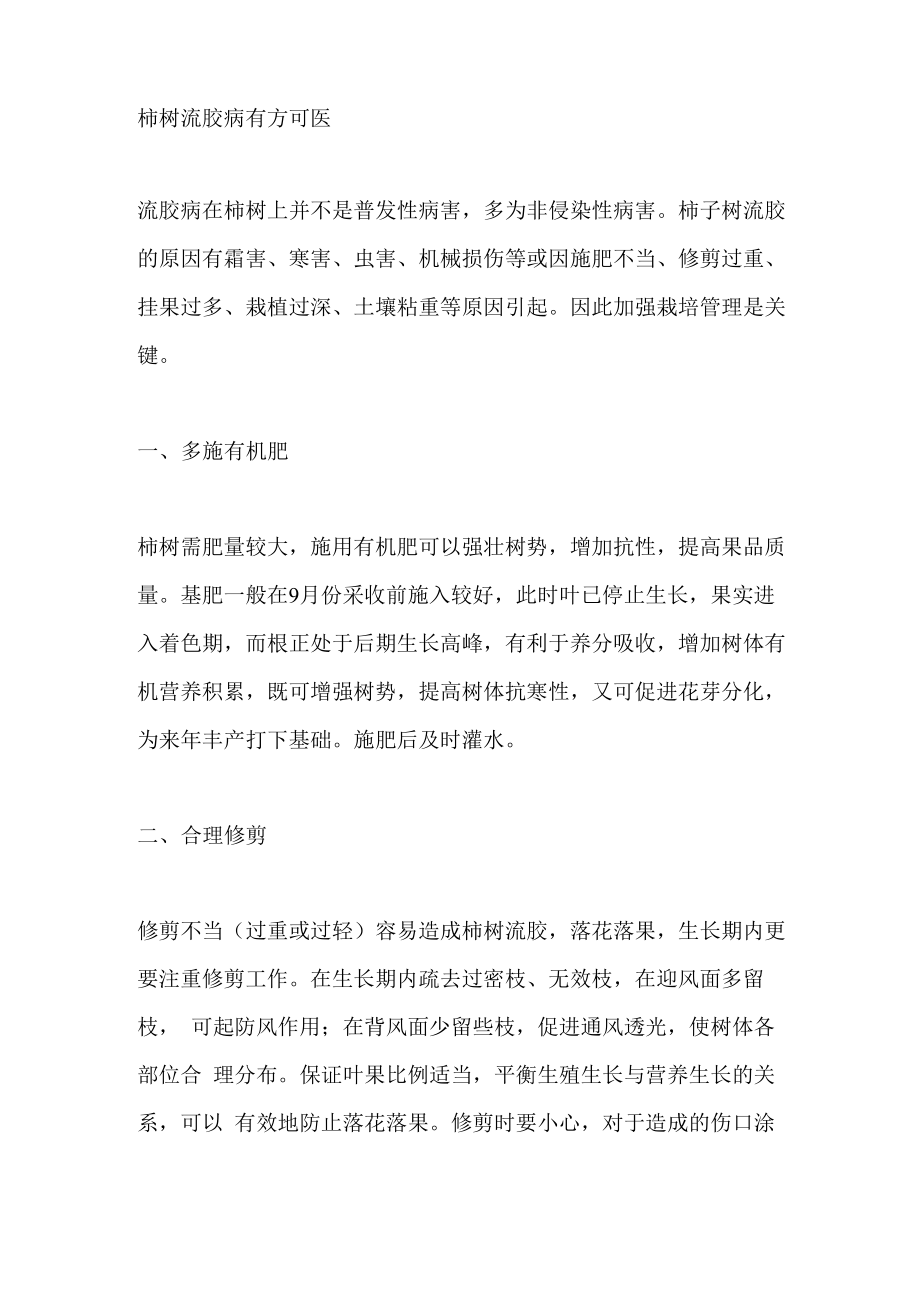 柿树流胶病有方可医_第1页