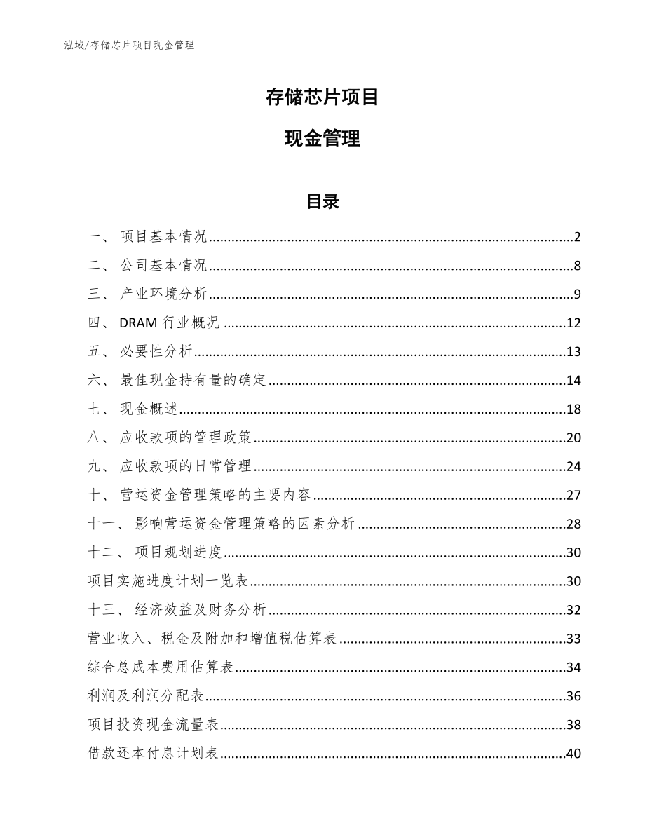 存储芯片项目现金管理（范文）_第1页