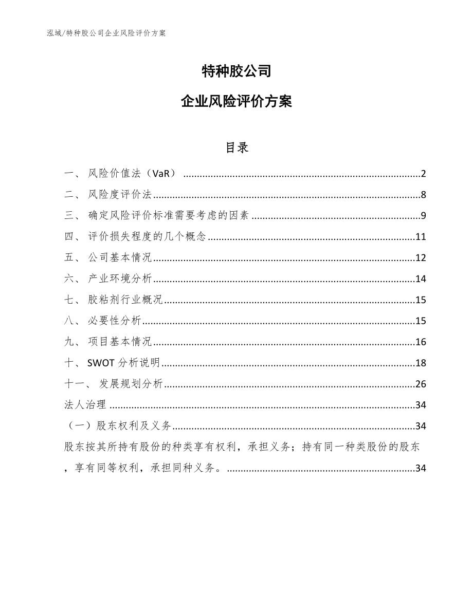 特种胶公司企业风险评价方案_第1页