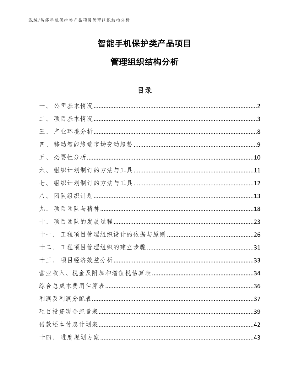 智能手机保护类产品项目管理组织结构分析（范文）_第1页