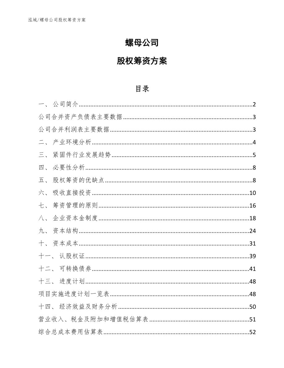 螺母公司股权筹资方案【范文】_第1页