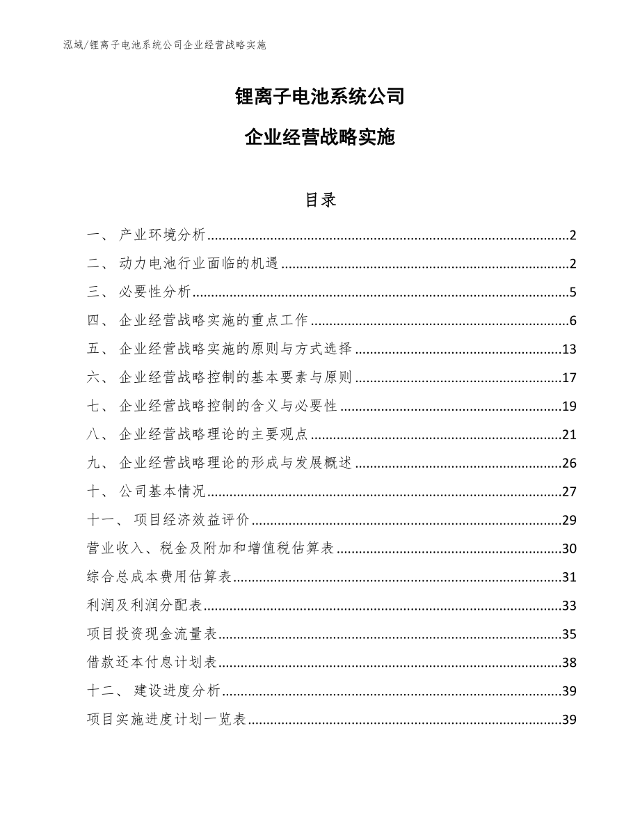 锂离子电池系统公司企业经营战略实施_第1页