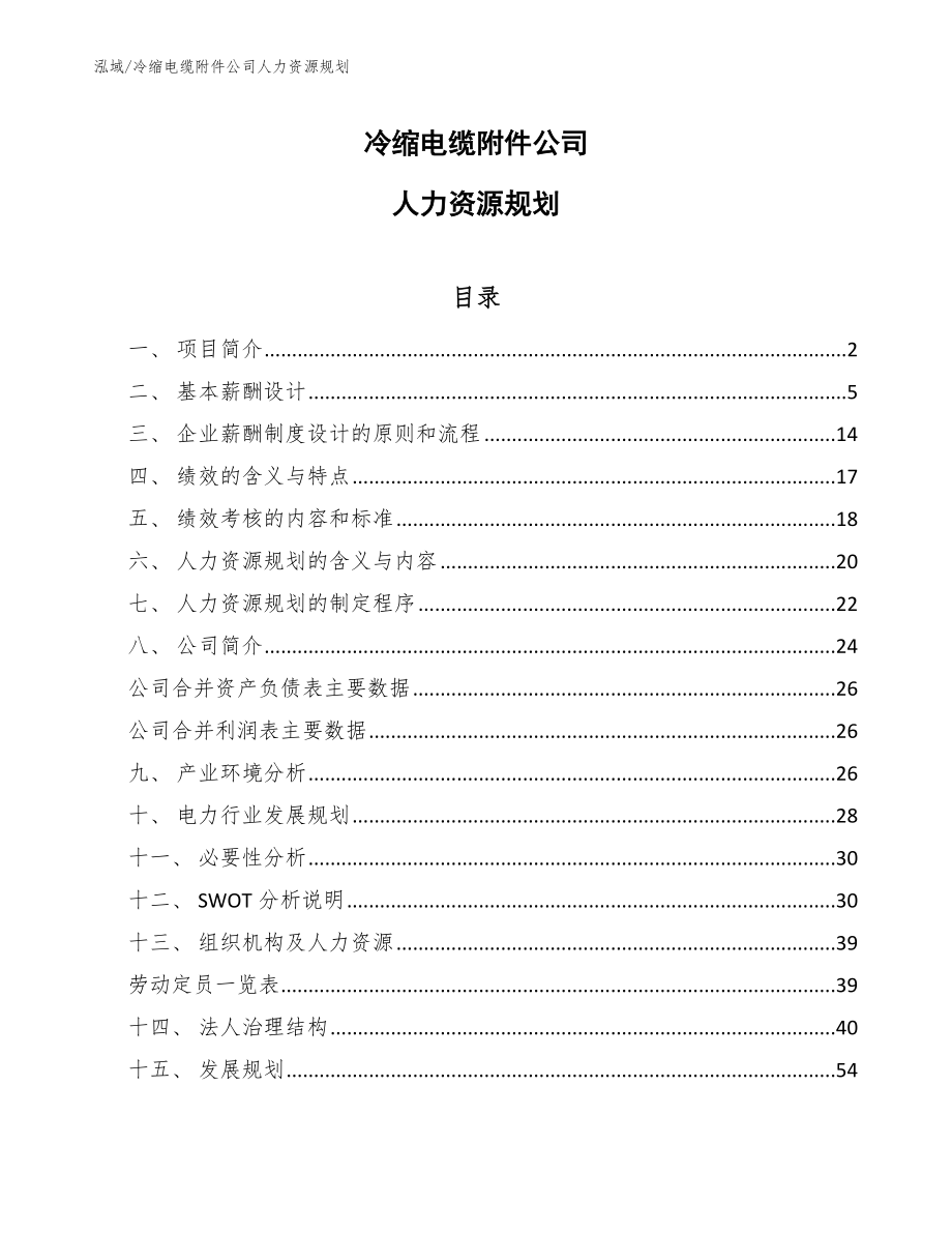 冷缩电缆附件公司人力资源规划（参考）_第1页