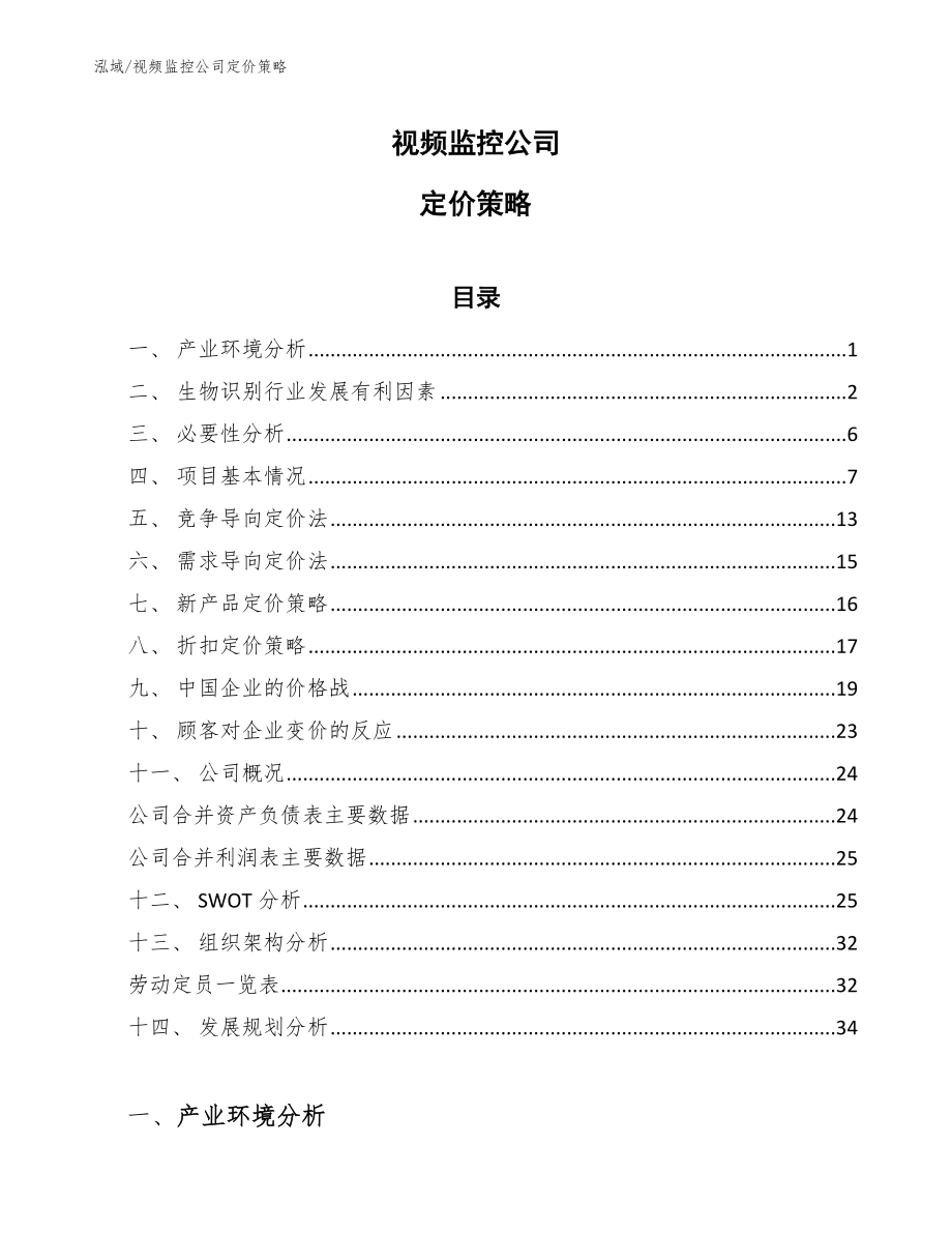 视频监控公司定价策略_第1页