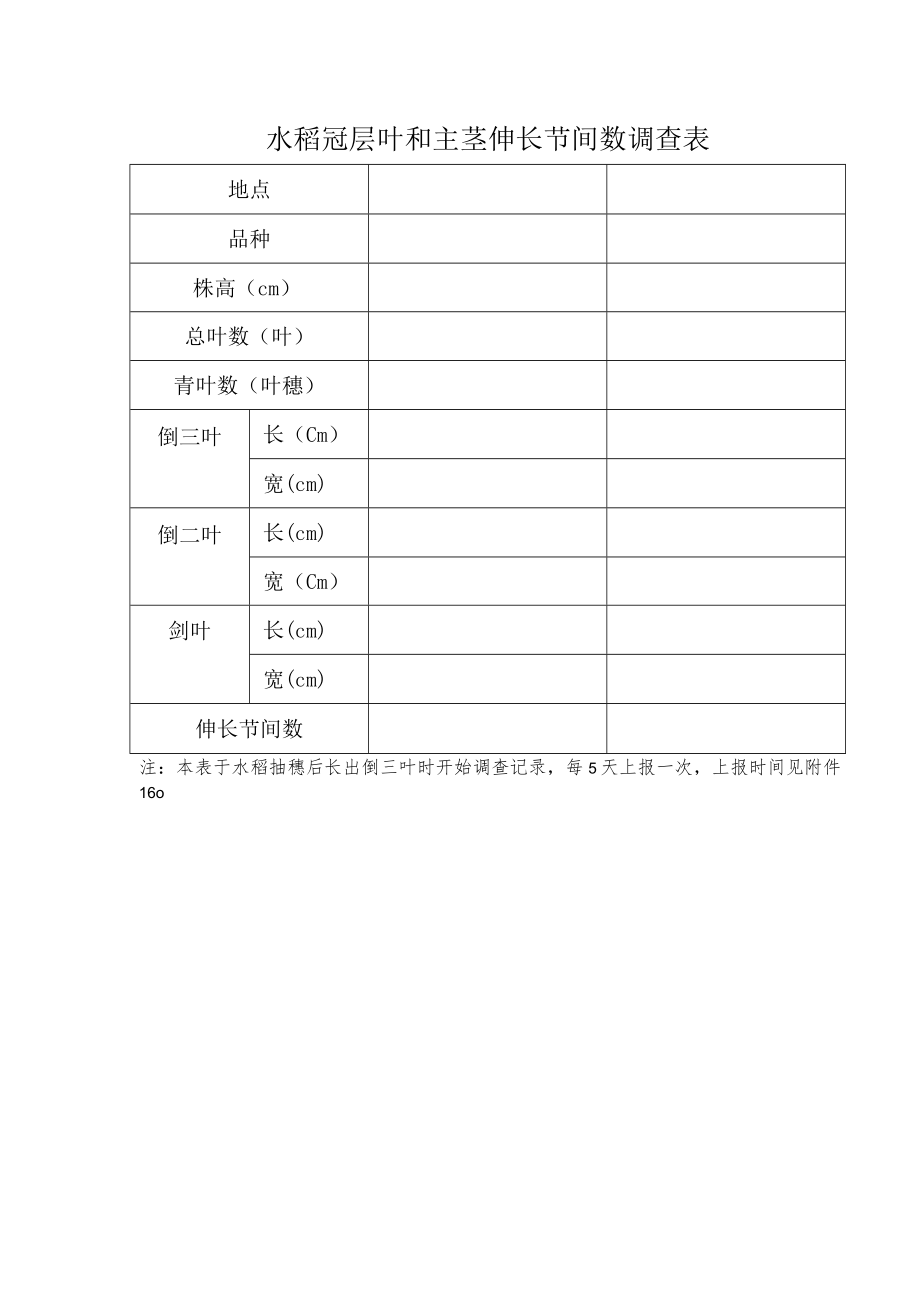 水稻冠层叶和主茎伸长节间数调查表_第1页