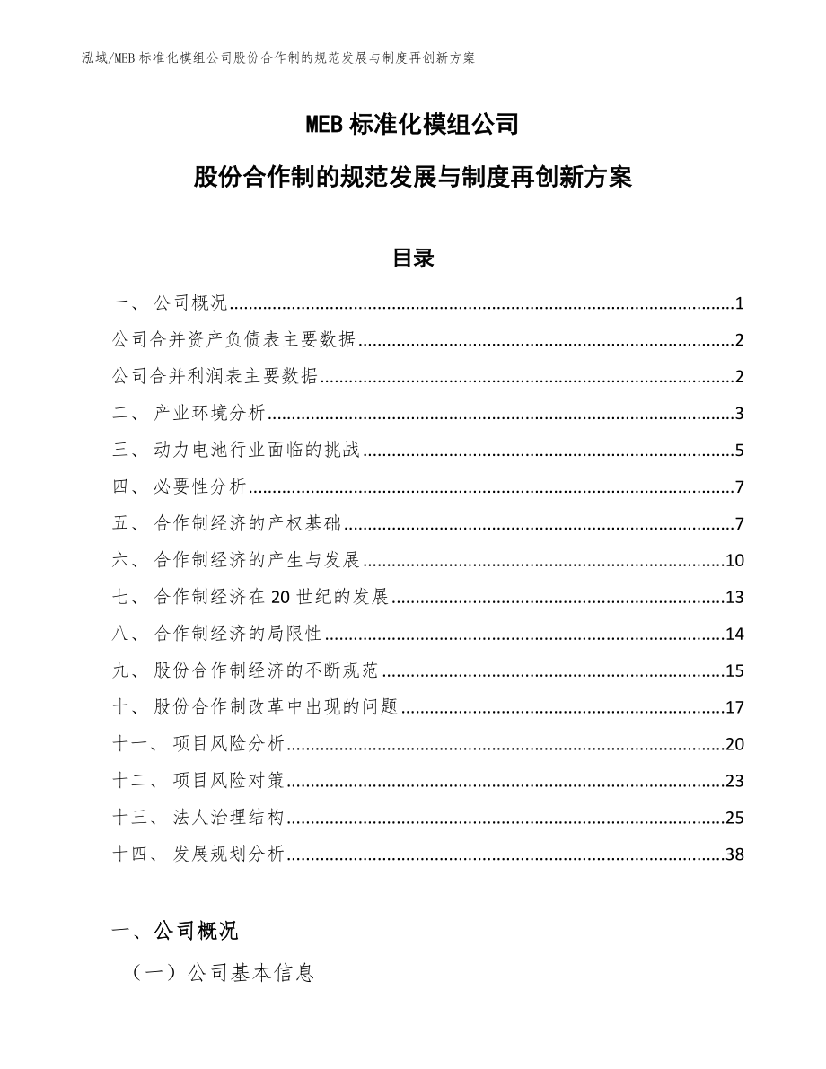 MEB标准化模组公司股份合作制的规范发展与制度再创新方案（参考）_第1页