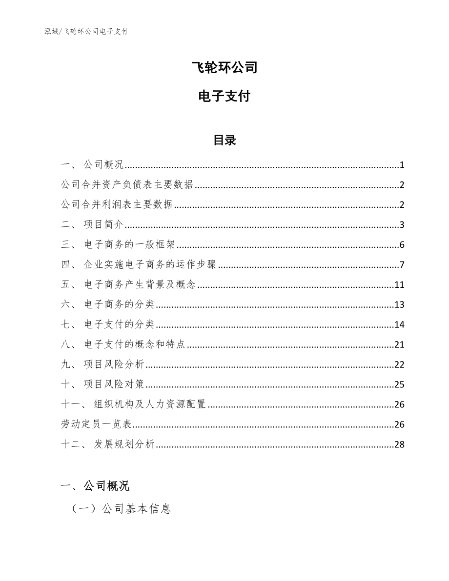 飞轮环公司电子支付（范文）_第1页