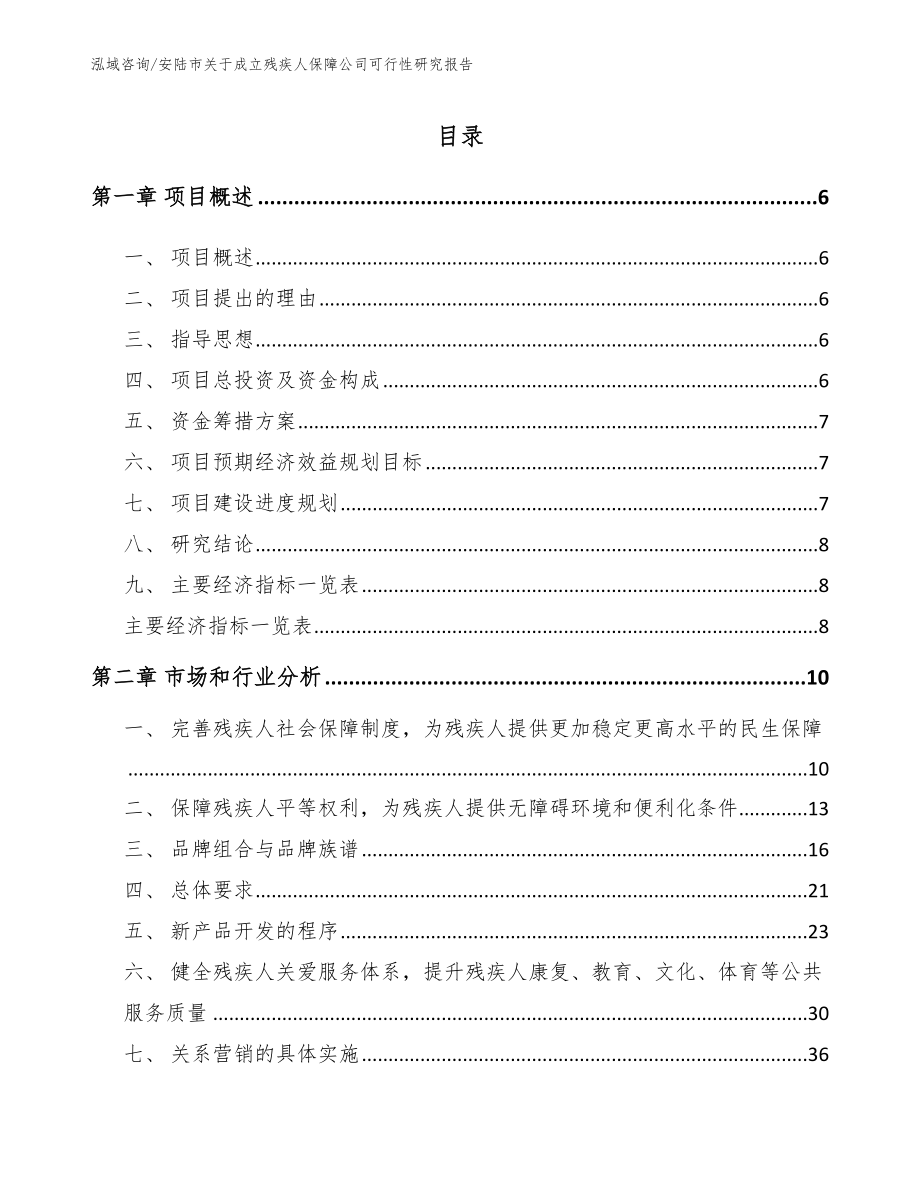 安陆市关于成立残疾人保障公司可行性研究报告_第1页