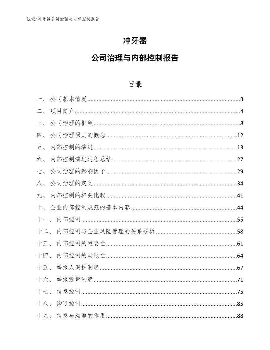 冲牙器公司治理与内部控制报告（参考）_第1页