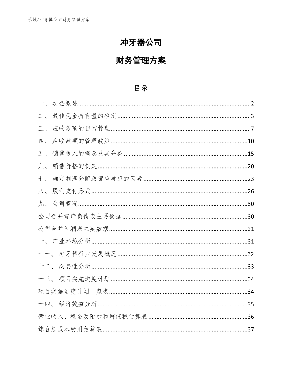 冲牙器公司财务管理方案【范文】_第1页