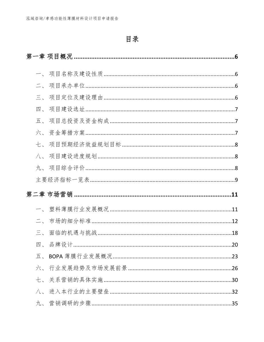 孝感功能性薄膜材料设计项目申请报告_第1页