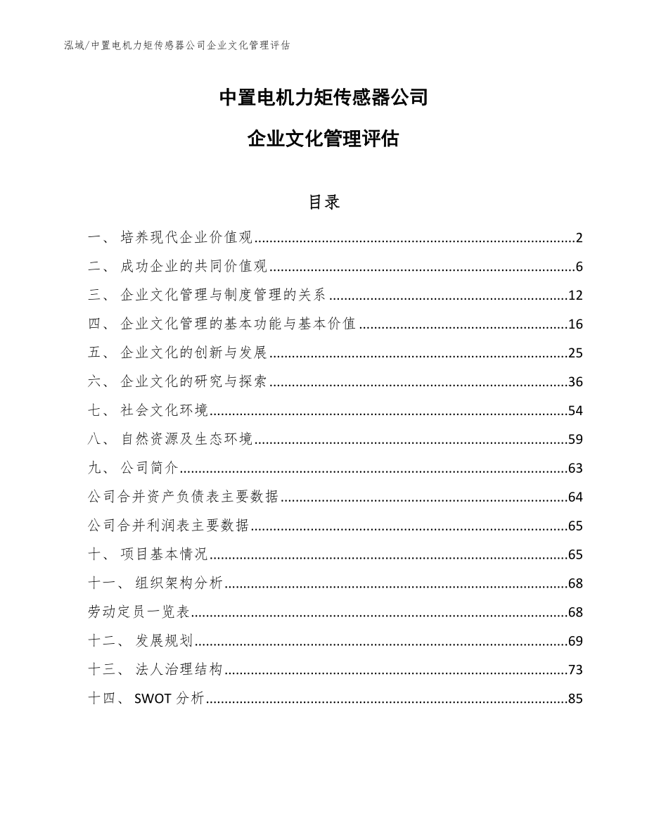 中置电机力矩传感器公司企业文化管理评估_第1页