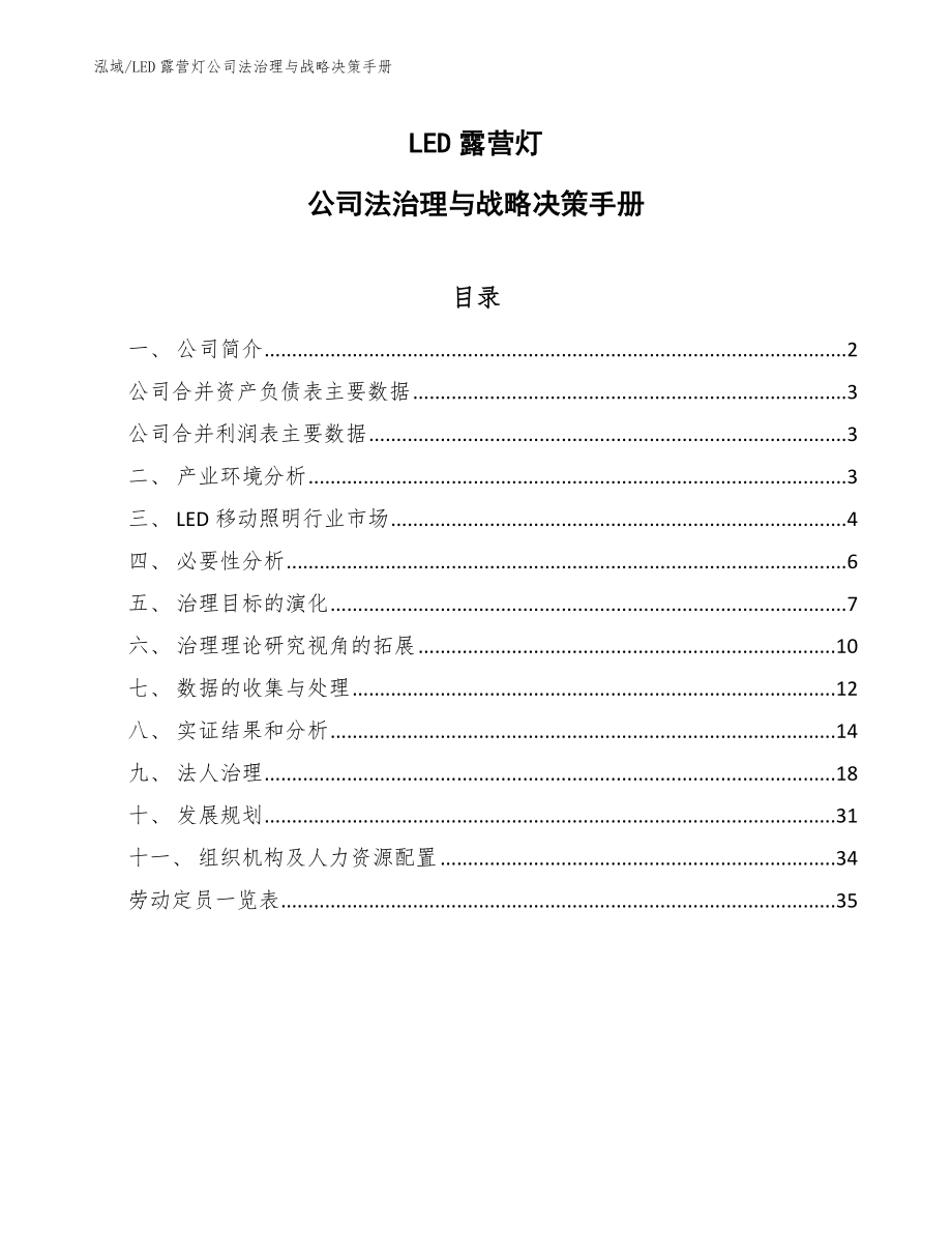 LED露营灯公司法治理与战略决策手册（参考）_第1页