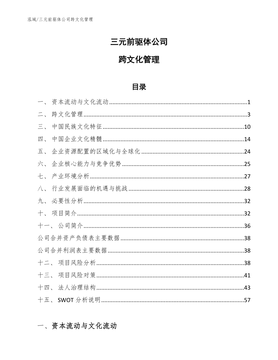 三元前驱体公司跨文化管理（参考）_第1页