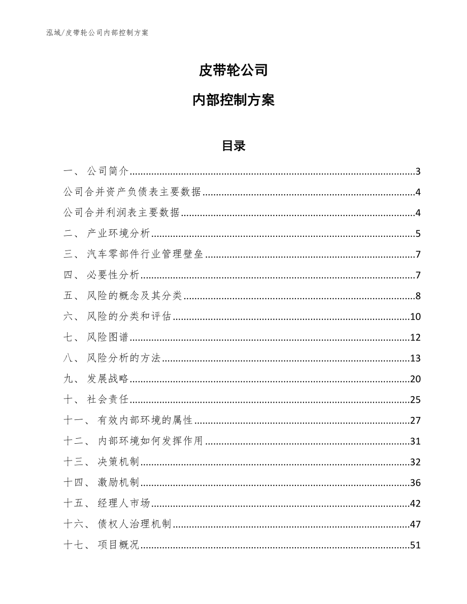皮带轮公司内部控制方案_范文_第1页