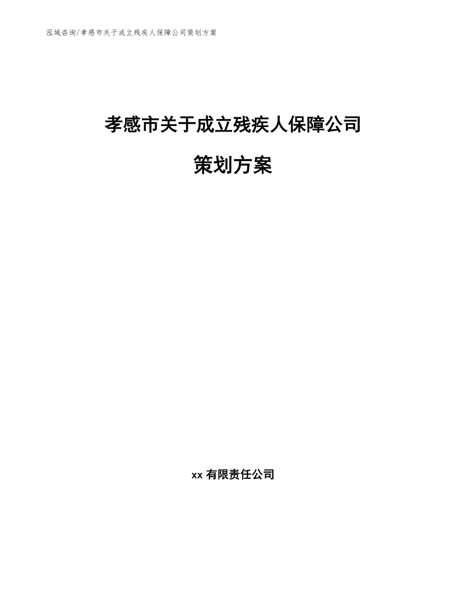 孝感市关于成立残疾人保障公司策划方案（范文模板）_第1页