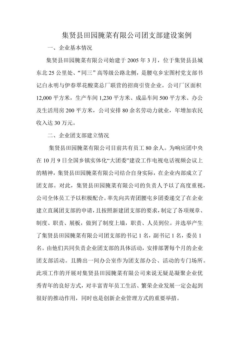 集贤县田园腌菜有限公司团支部建设案例_第1页
