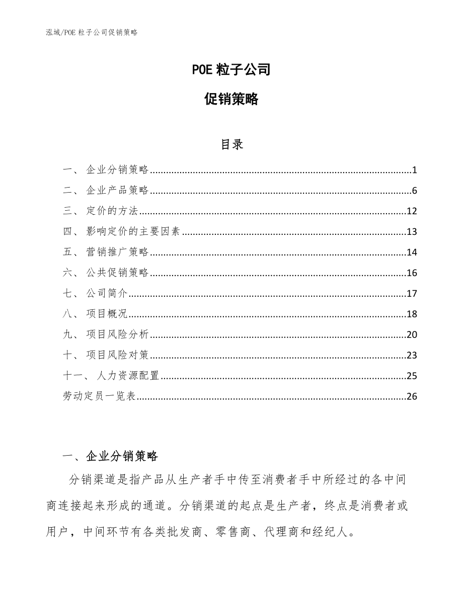 POE粒子公司促销策略_第1页